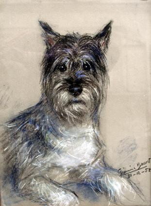 Maxou, le chien de Germaine. Fusain et gouache